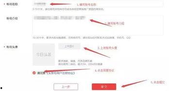 如何开启头条号自媒体,全方位指南与实操技巧